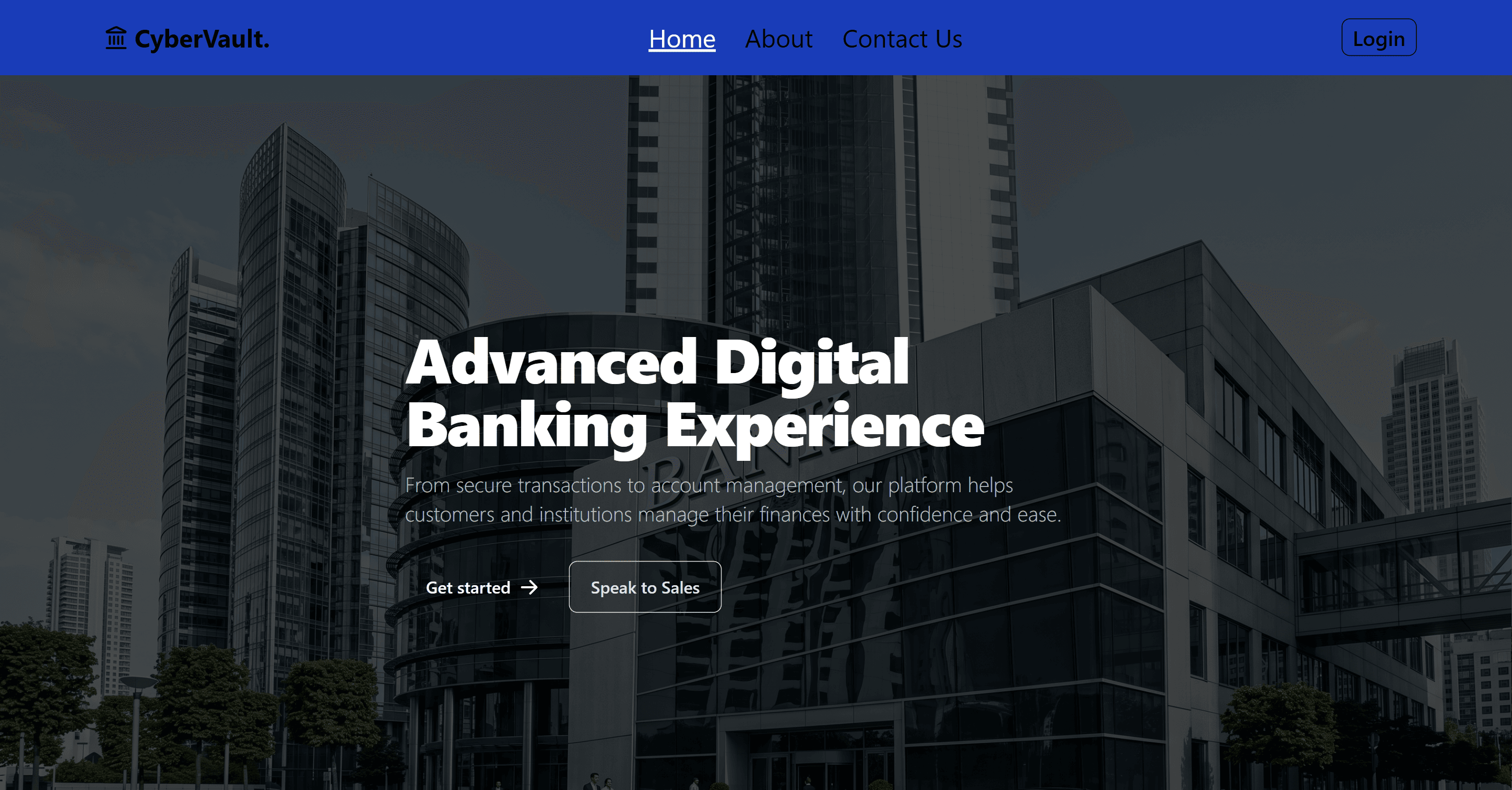 CyberVault Website Image